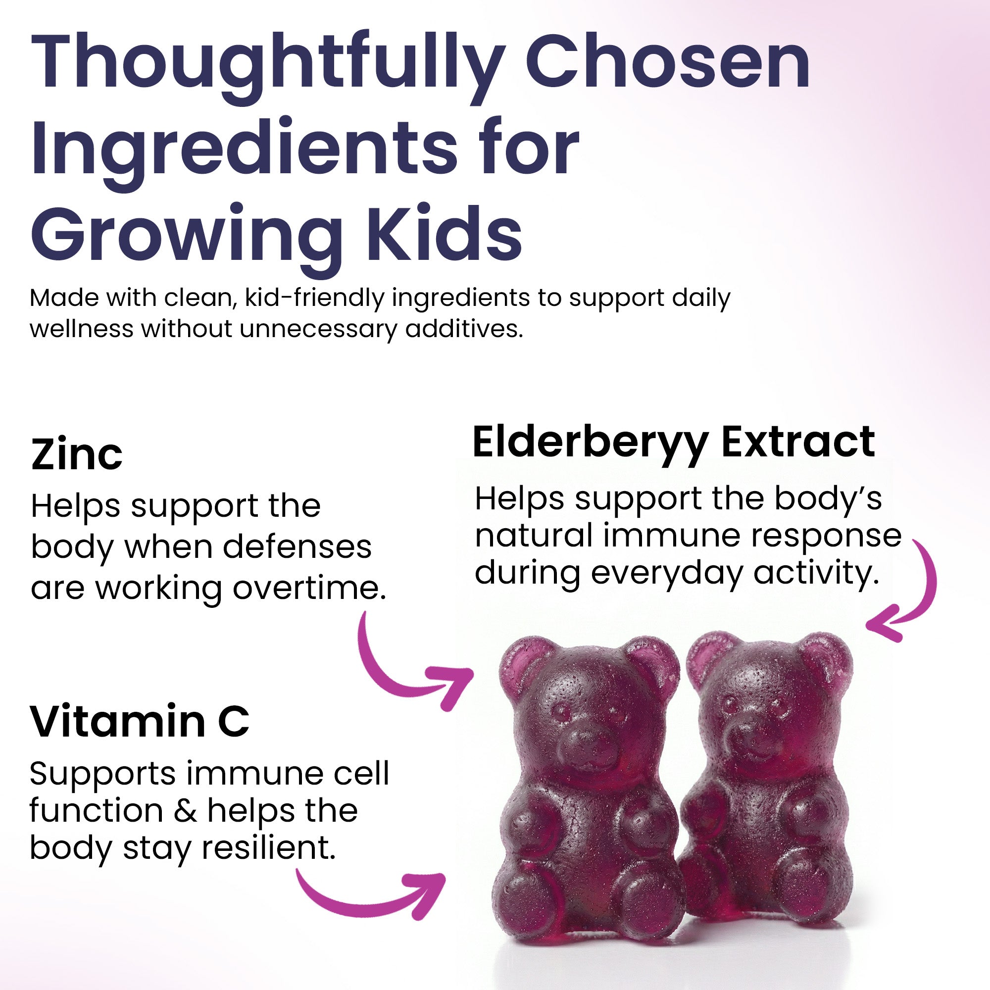 Elderberry Immune Support Gummies for Kids with Vitamin C & Zinc | Daily Immunity Support | 60 Count