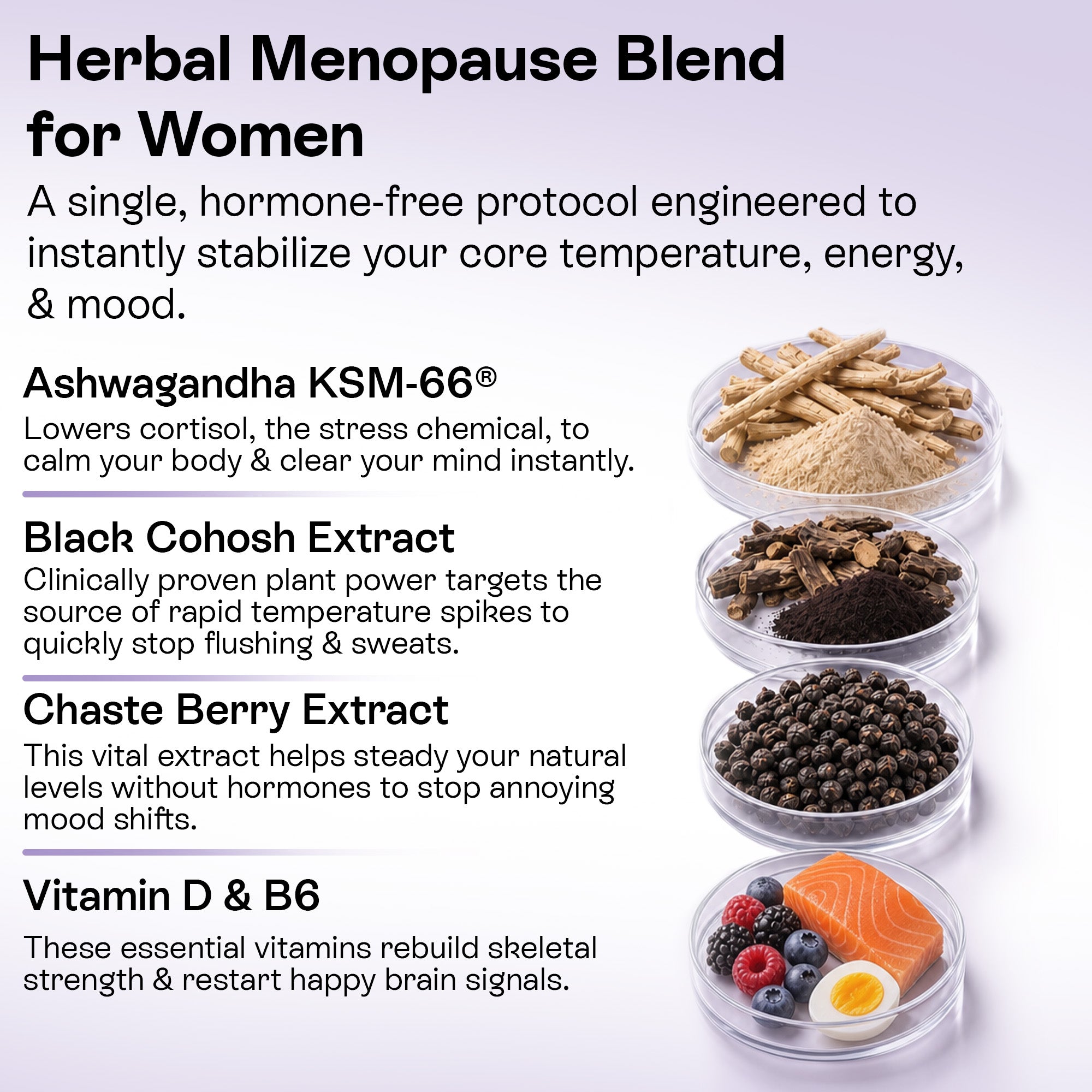 Menopause Support Gummies | Hormone, Mood & Comfort Support