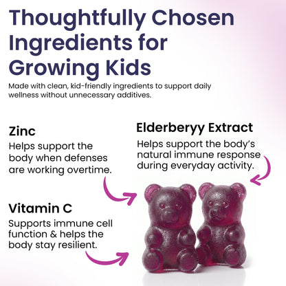 Elderberry Immune Support Gummies for Kids with Vitamin C &amp; Zinc | Daily Immunity Support | 60 Count