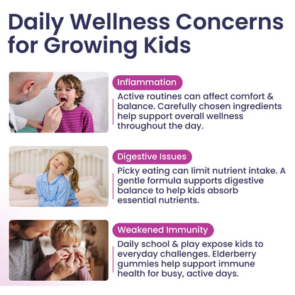 Elderberry Immune Support Gummies for Kids with Vitamin C &amp; Zinc | Daily Immunity Support | 60 Count