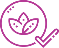 Clean & Safe Ingredients