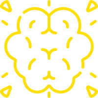 Enhances Brain Magnesium Levels