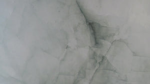 Feeling fresh every day